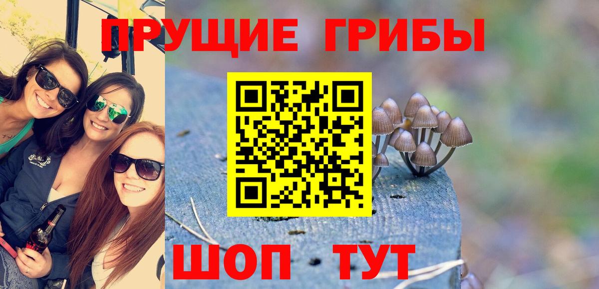 Галлюциногенные грибы MAGIC MUSHROOMS Скопин
